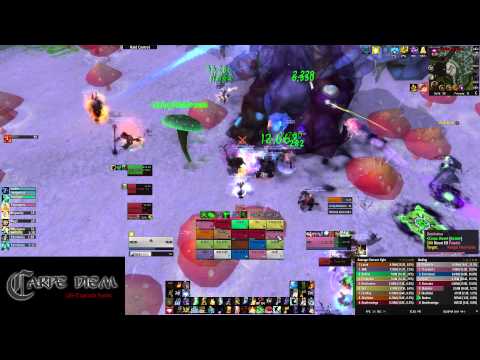 Carpe Diem vs Mythic Brackenspore (Holy Priest POV)