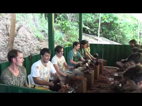 SEIS HORAS DA MANHÃ - FLOR DE JAGUBE - BATEÇÃO