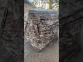 Cabela S Specialist XL Ground Blind