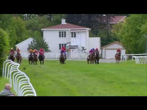 2016.08.28 Marit Sveaas Minneløp (NOR) - Brownie