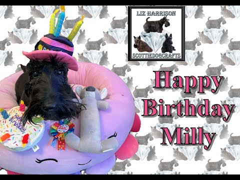 Scottish Terrier | Scottie Dog | Millys 8th Birthday Fun | Happy Birthday Milly