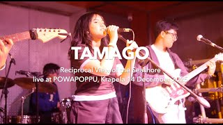 Download lagu Tamago performs “Reciprocal View of the Seashore” at Powapoppu, Krapela. mp3