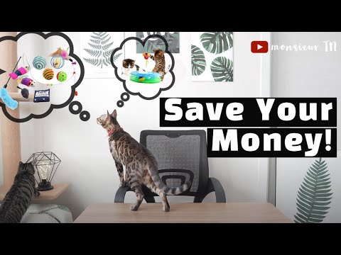 Best Cat Toys For Indoor Cats (An Actually Helpful Video)