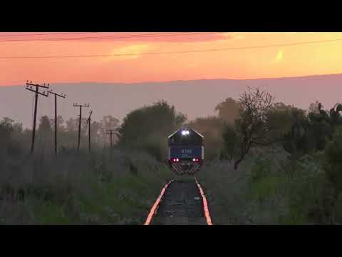 CRRC CDD6A1 9790 con un 04 y el Tren Sanitario por Monte Cristo
