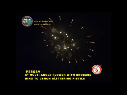 SS125OT03- 5 INCH SHELL - WIZARD FIREWORKS - PS5089