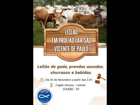 Leilão de Gado em Prol ao Lar São Vicente de Paulo - Itajobi/SP [16/11/2025]