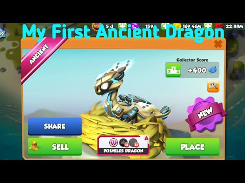 Hatched POLVELES DRAGON -DML