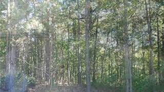 Jordan Ridge LN Unit #Unit 2