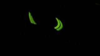 Rei Toei - "Chemical Lights"