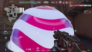 無題の動画