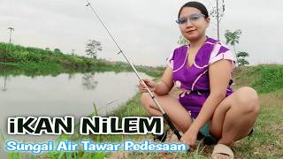 Download lagu Mancing pagi di sungai kampung pedesaan di temani pemandangan yang indah mp3