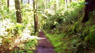 VIRTUAL HIKE: 30 Minutes, Oregon Forest to Beach