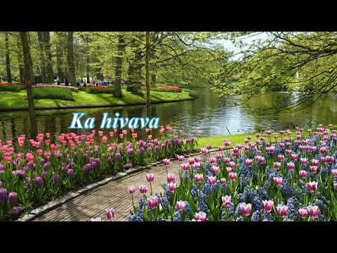 MIHOATRA LAVITRA - Tarika Christophe RATREMA - Instrumental