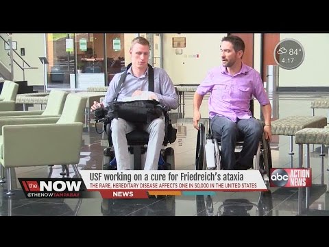 USF working on cure for Friedreich's ataxia