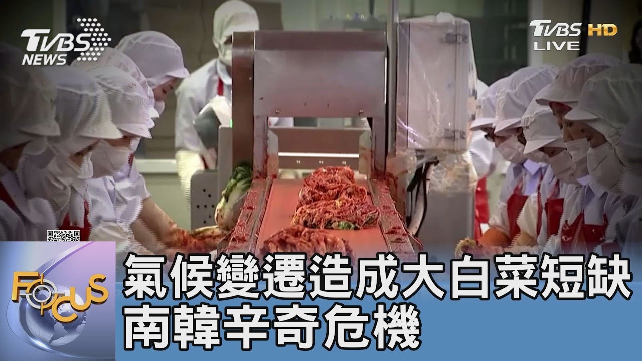 氣候變遷造成大白菜短缺 南韓辛奇危機