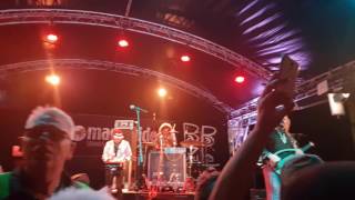 BaBa Zula's guitarist in the WOMAD crowd