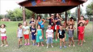 preview picture of video 'Il Pulcino Pio ballato dal mini e junior club'