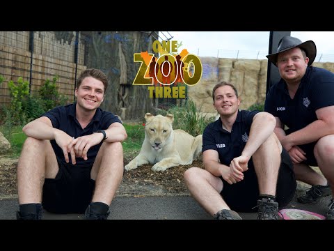 CBBC's One Zoo Three - TV Series at Paradise Wildlife Park
