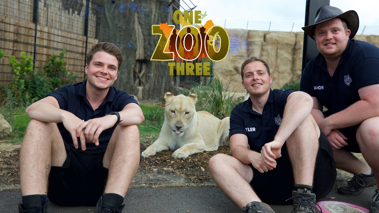 One Zoo Three Official 1