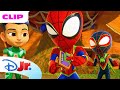 Marvel S Spidey And His Amazing Friends Baddie Dinos Take Over The Tree House Disneyjr