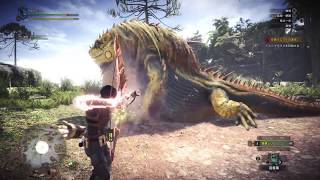 モンスターハンター：ワールド_初心者アーチャー奮闘期