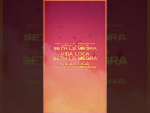 SE7H LE MERGA - Vida loca [Audio]