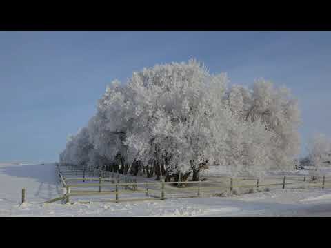 Maha Himaye, By Deepika Priyadarshani