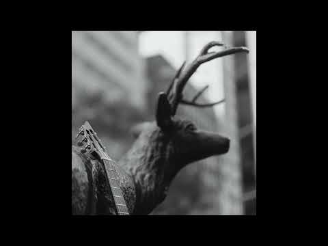 Agalloch - In the Shadow of Our Pale Companion (Solo Guitar Cover)