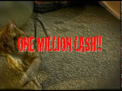 MC Randumb & Jewish Dave - 