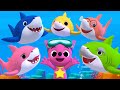 Baby Shark Dance Pinkfong Sing Dance Animal Songs Pinkfong Songs For Kids Different Version