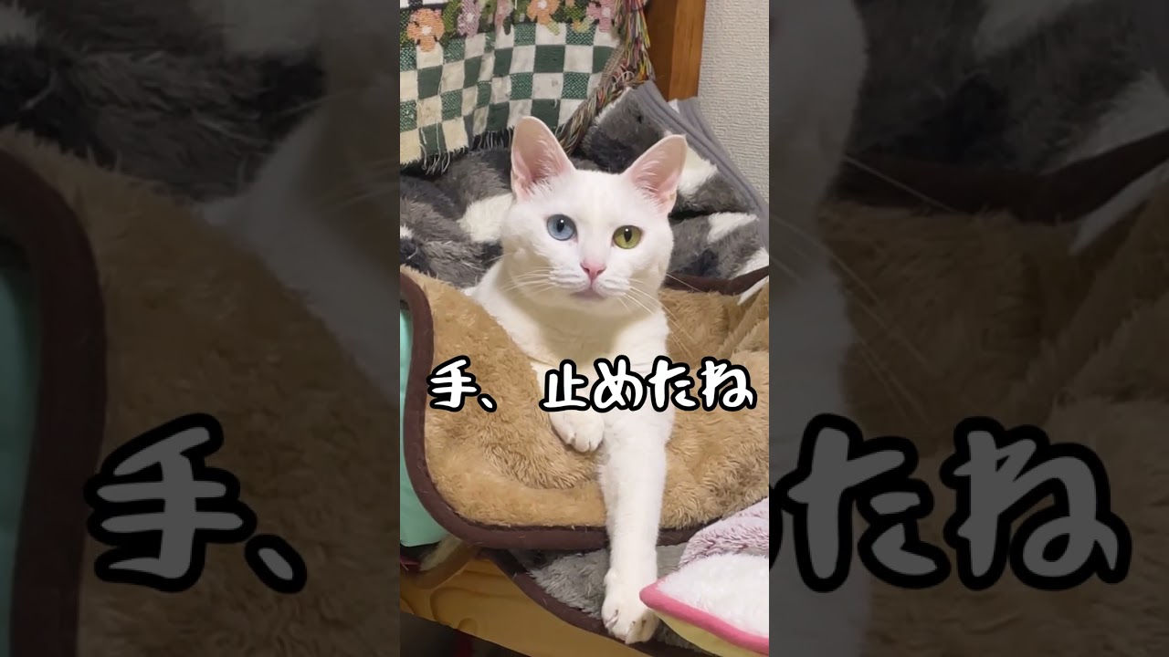 操られています