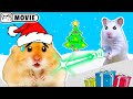 Hamster adventures for Christmas 🎅 Christmas miracle 🎅 Homura Ham