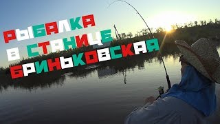Рыбалка в краснодарском крае бриньковская