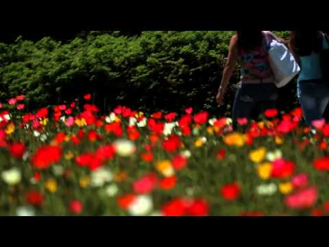 Швейцарские города ждут вас