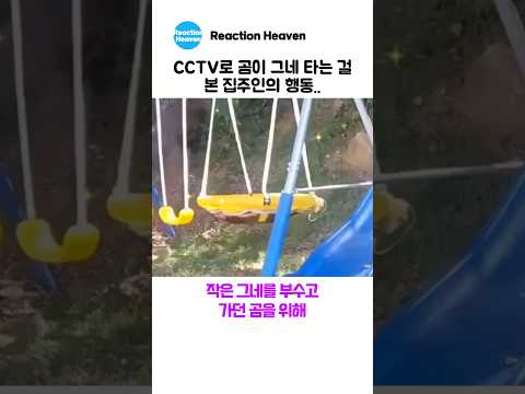 CCTV로 곰이 그네 타는 걸 본 집주인의 행동..