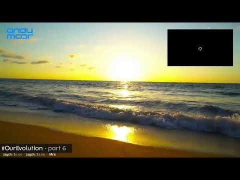 #OurEvolution - part 6
