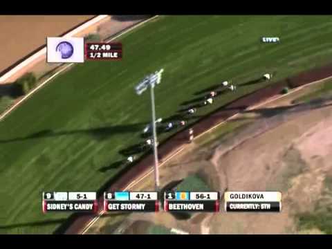 2010 TVG Breeders' Cup Mile