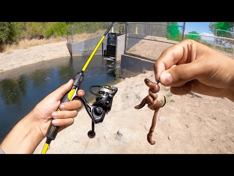 Spillway Fishing w/ WORMS!! (Surprising Catch!)