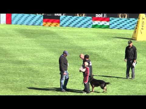 WUSV 2013 Vittorio Weber - Canada - Prot