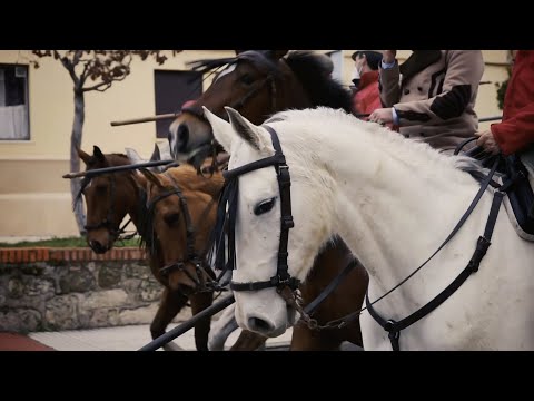 Toros Bravos Todo Sobre el Encierro a Caballo el Carnaval del Toro Ciudad Rodrigo