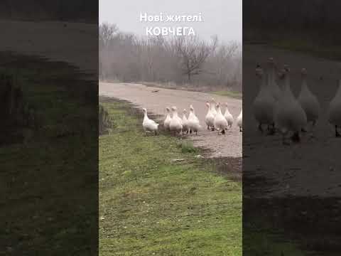 4 декабря 2025 г.