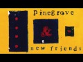 Pinegrove - New Friends