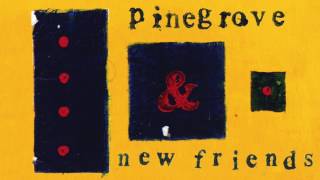 Pinegrove - New Friends