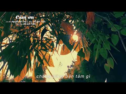 Cảm ơn Sheet - Đỗ Anh Tuấn