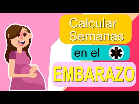 El gestograma o calculadora de embarazo El gestograma o calculadora de embarazo
