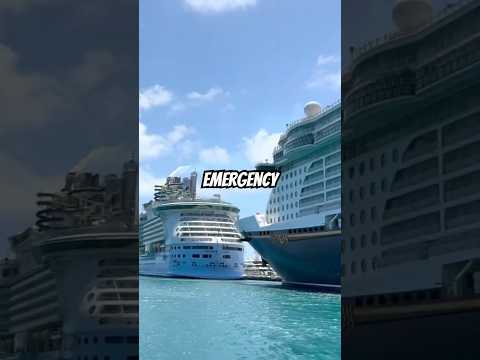 Thumbnail for What happens if a person DIES on a cruise ship?