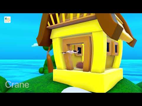 Birds: All About Birds for toddlers #birds #kids #education