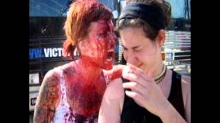 Walls of Jericho - Try.Fail.Repeat (another Candace&#39; slideshow)