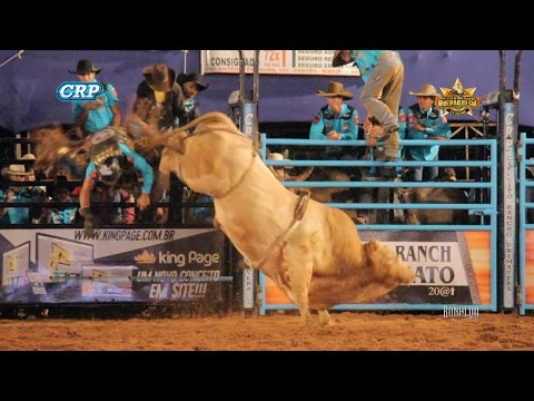 Rodeio de Ribeirão do Sul 2017 - MELHORES TOUROS / QUINTA FEIRA