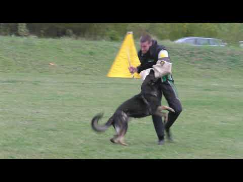 MM MSKS Zbraslav 2019-Alena Macharáčková-Arran z kraje Karla IV-obrana/defense